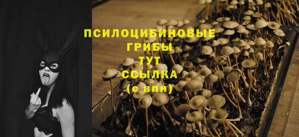 трава Абдулино